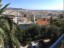 Trees, Rooftops and Sea